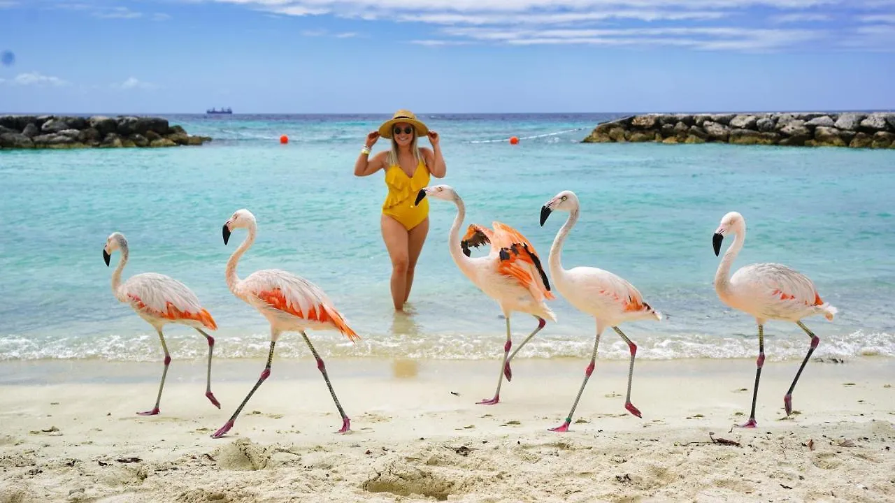 Willa Private Beach Ocean Front Boat Dock Tiki Bar Savaneta Aruba