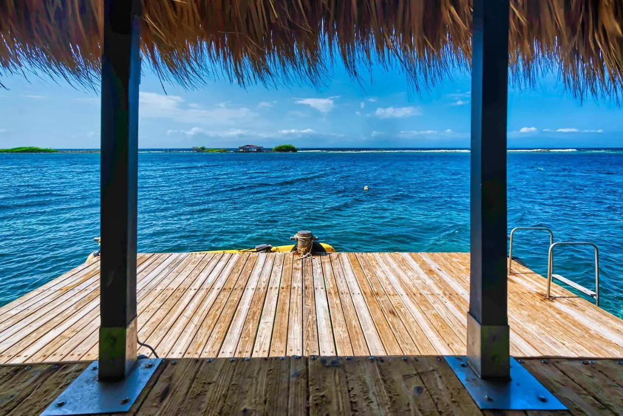 Private Beach Ocean Front Boat Dock Tiki Bar Savaneta Villa